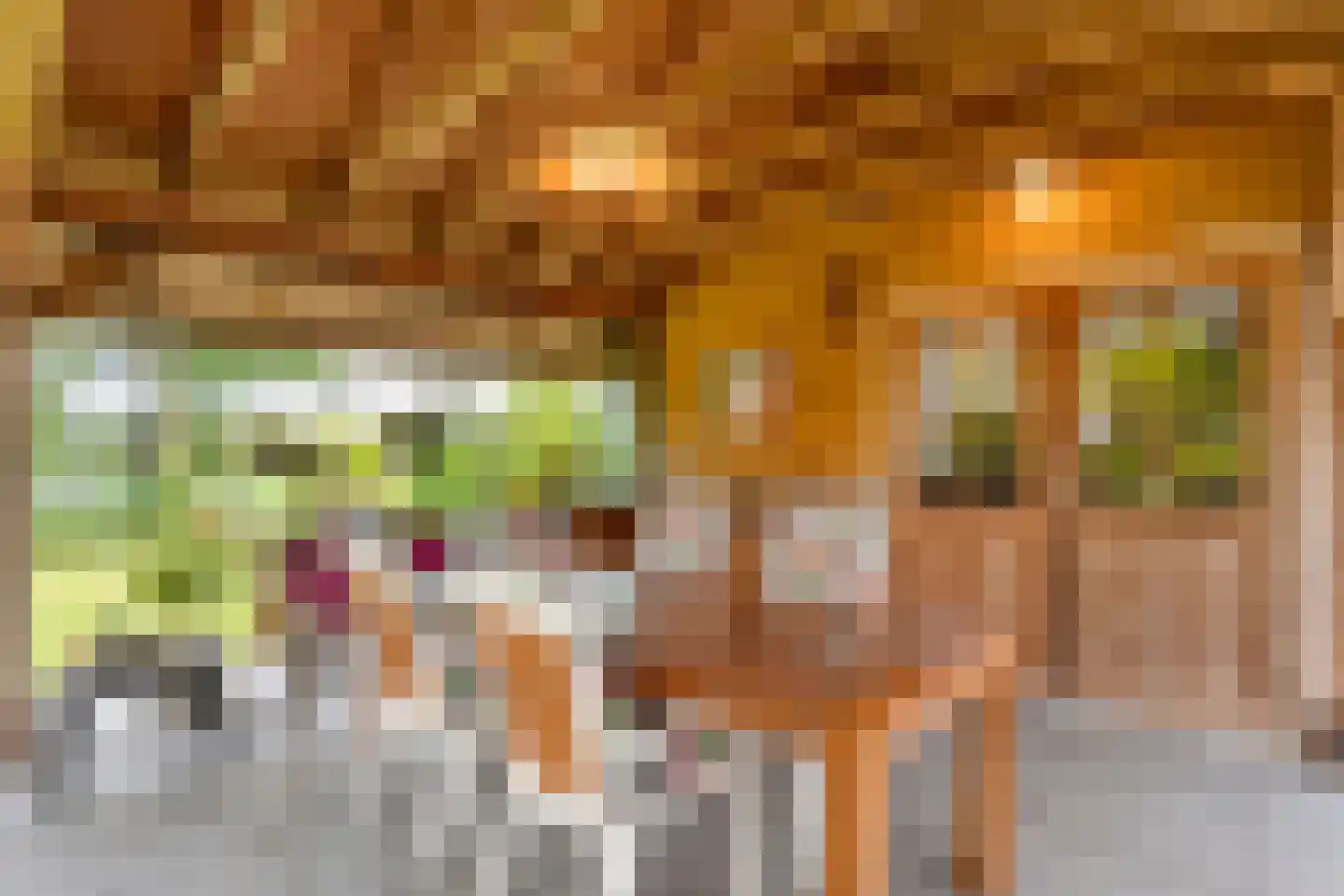 Meeleweg 23 Nieuwleusen thumbnail 64