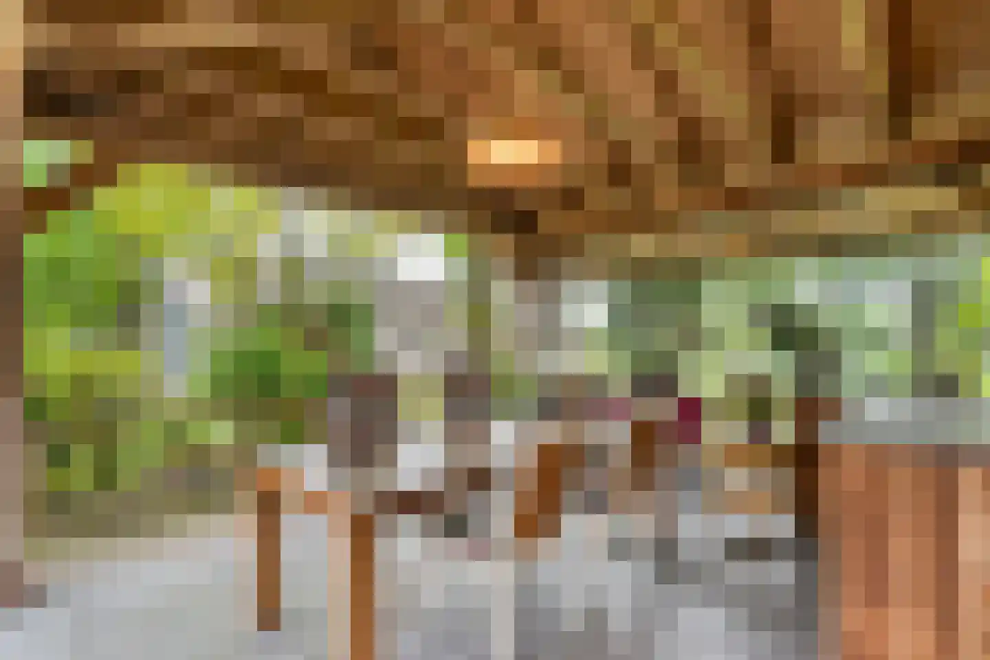 Meeleweg 23 Nieuwleusen thumbnail 65
