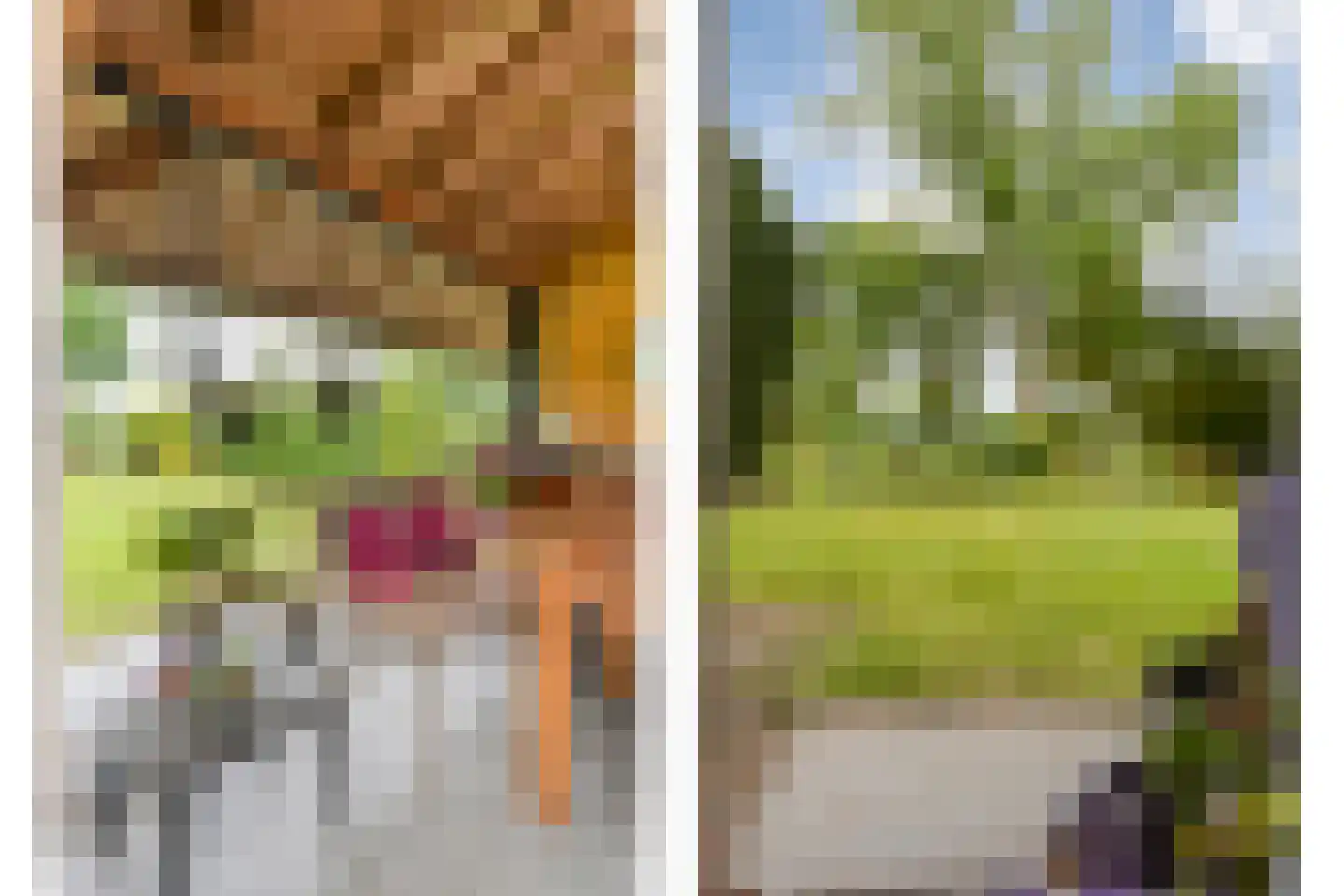 Meeleweg 23 Nieuwleusen thumbnail 66
