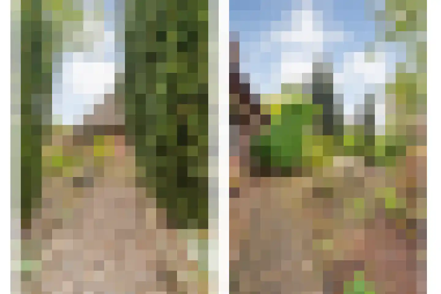 Meeleweg 23 Nieuwleusen thumbnail 67