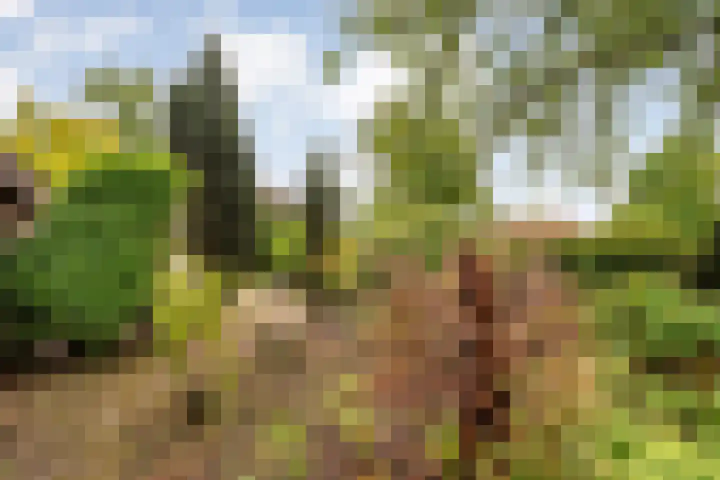 Meeleweg 23 Nieuwleusen thumbnail 68