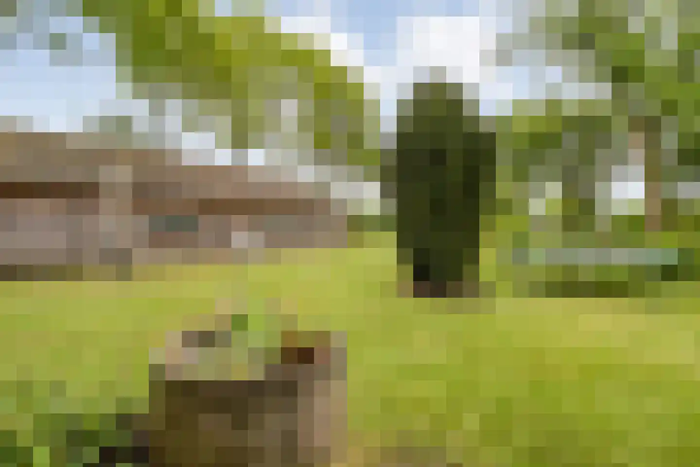 Meeleweg 23 Nieuwleusen thumbnail 69