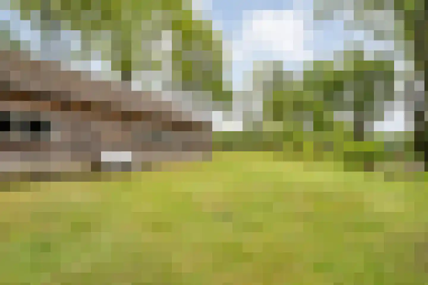 Meeleweg 23 Nieuwleusen thumbnail 70