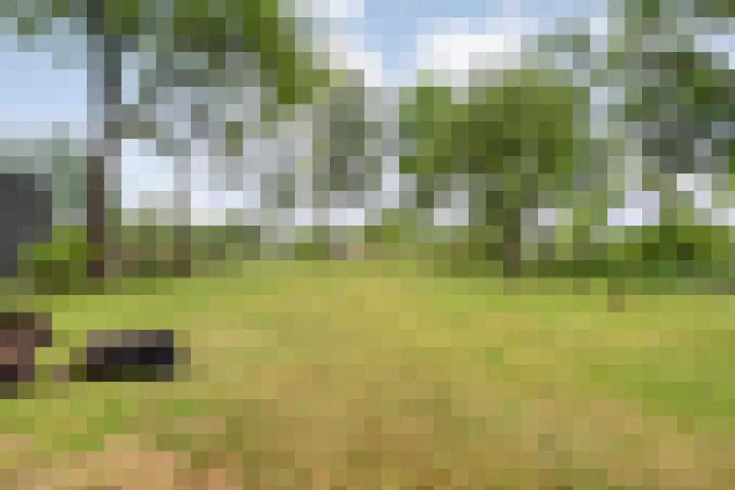 Meeleweg 23 Nieuwleusen thumbnail 71