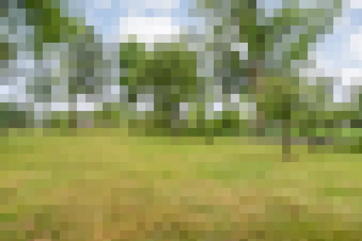 Meeleweg 23 Nieuwleusen thumbnail 72