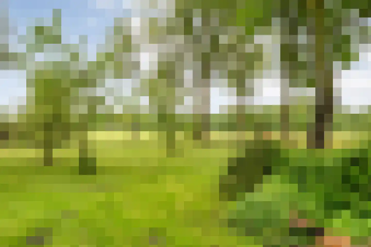 Meeleweg 23 Nieuwleusen thumbnail 73