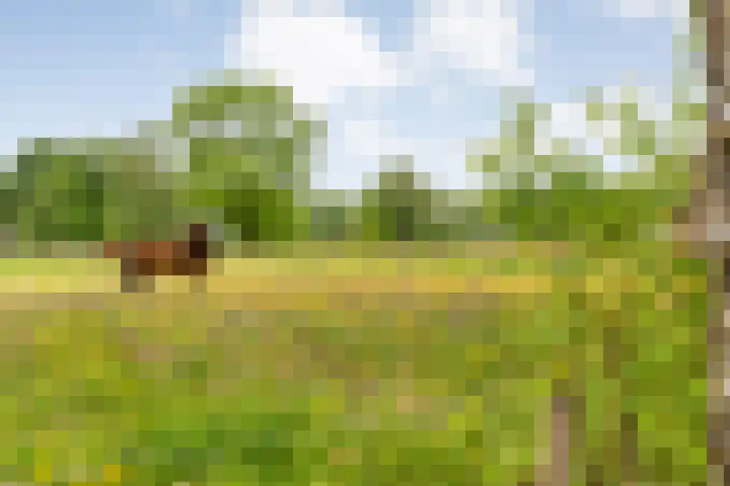 Meeleweg 23 Nieuwleusen thumbnail 74