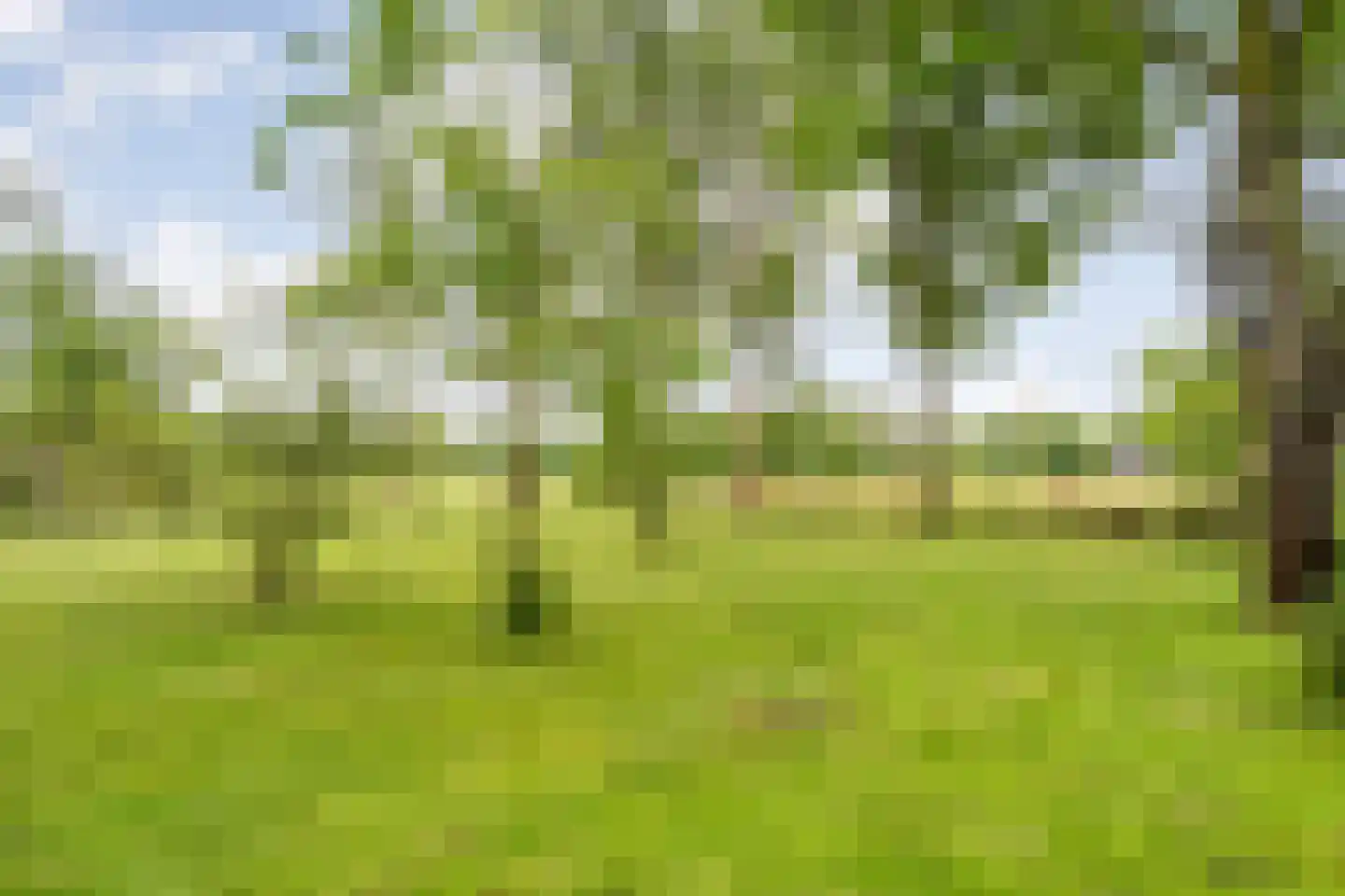 Meeleweg 23 Nieuwleusen thumbnail 75