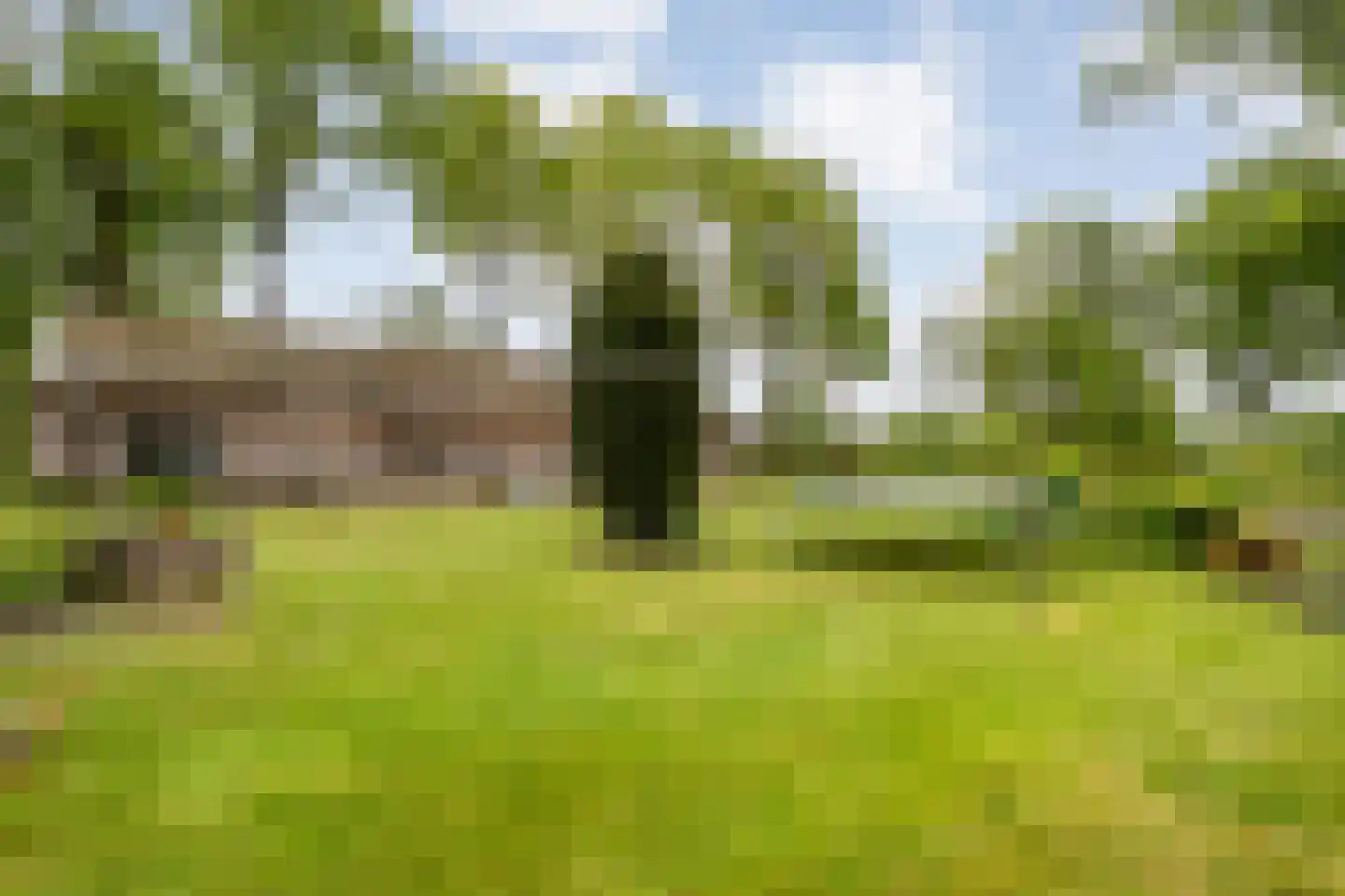 Meeleweg 23 Nieuwleusen thumbnail 76