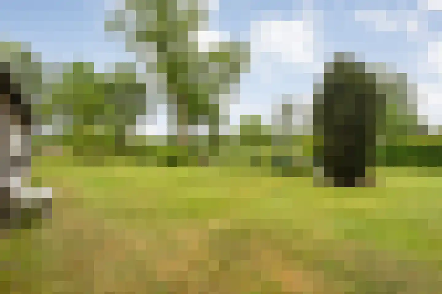 Meeleweg 23 Nieuwleusen thumbnail 77