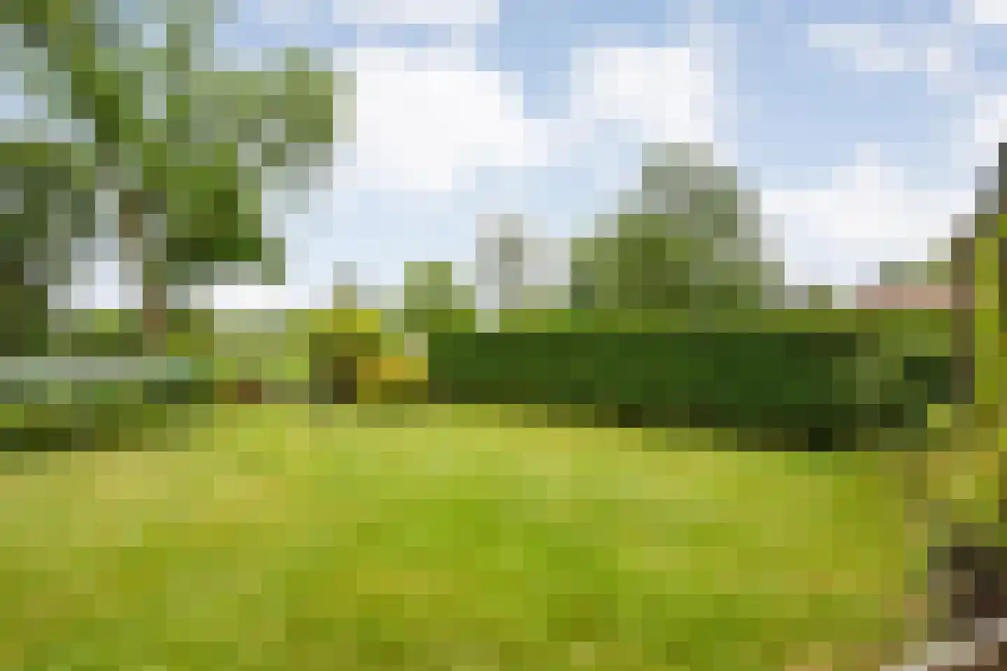 Meeleweg 23 Nieuwleusen thumbnail 80