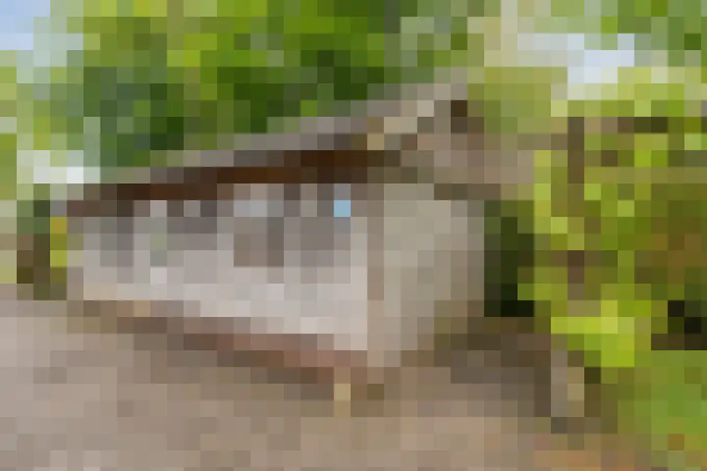 Meeleweg 23 Nieuwleusen thumbnail 85