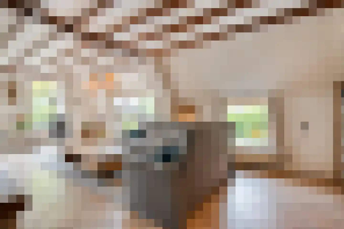 Meeleweg 23 Nieuwleusen thumbnail 9