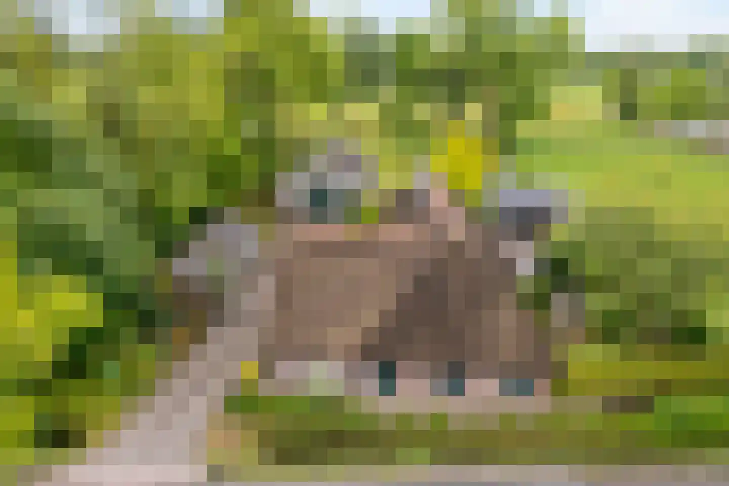 Meeleweg 23 Nieuwleusen thumbnail 91