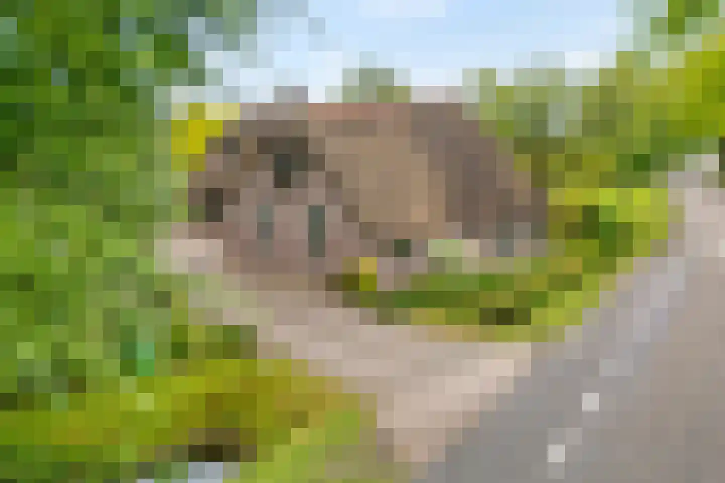 Meeleweg 23 Nieuwleusen thumbnail 92
