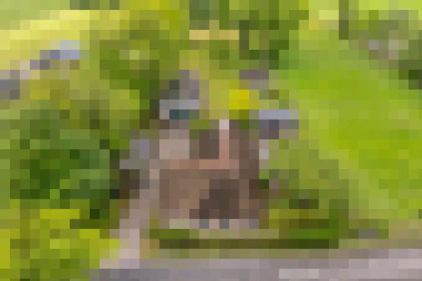Meeleweg 23 Nieuwleusen thumbnail 93