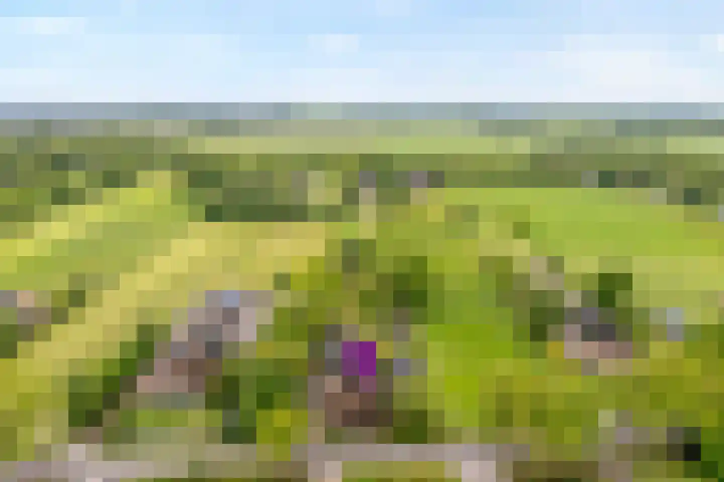 Meeleweg 23 Nieuwleusen thumbnail 97