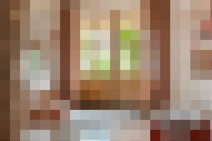 Meeleweg 7 Nieuwleusen thumbnail 10