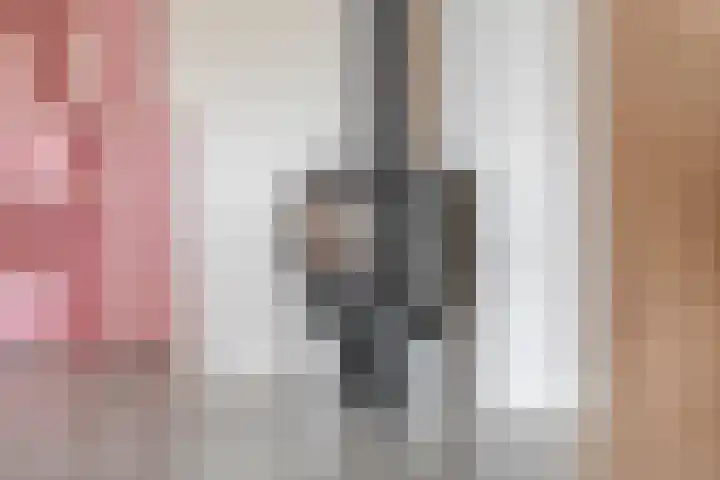Meeleweg 7 Nieuwleusen thumbnail 13