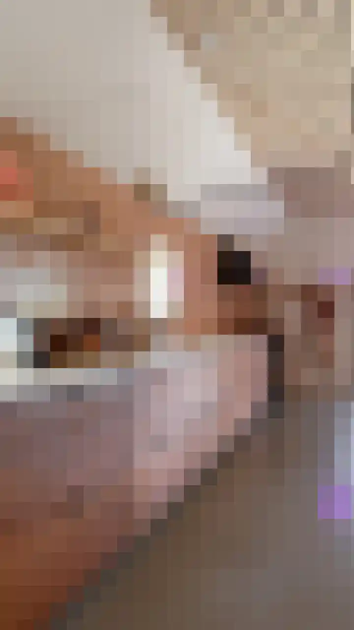 Meeleweg 7 Nieuwleusen thumbnail 17