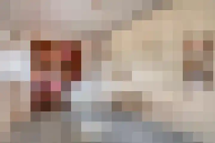Meeleweg 7 Nieuwleusen thumbnail 20