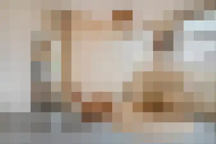 Meeleweg 7 Nieuwleusen thumbnail 22