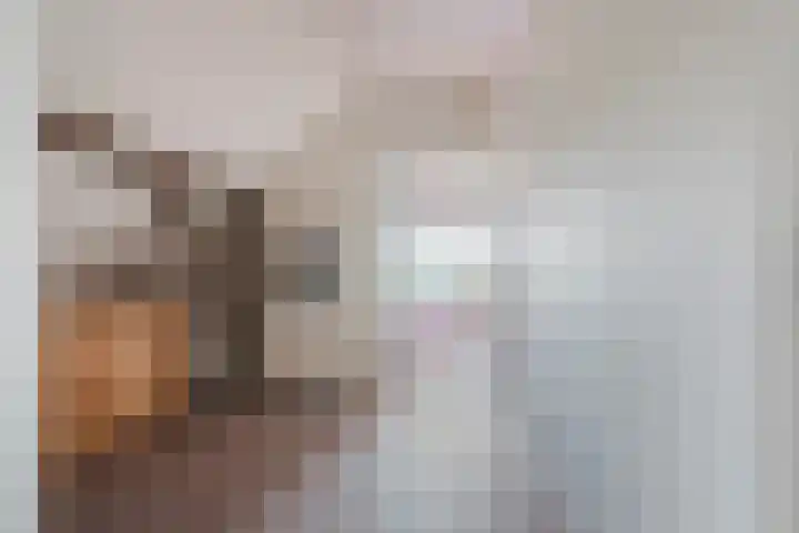 Meeleweg 7 Nieuwleusen thumbnail 25