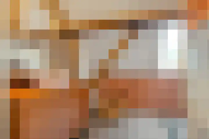 Meeleweg 7 Nieuwleusen thumbnail 29