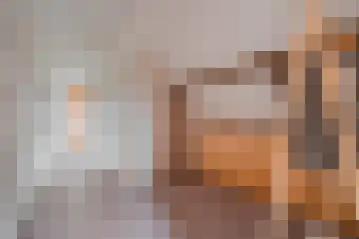 Meeleweg 7 Nieuwleusen thumbnail 31
