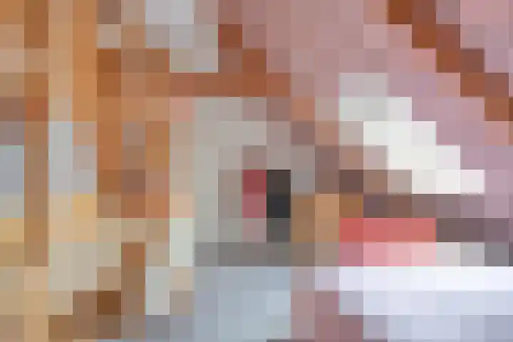 Meeleweg 7 Nieuwleusen thumbnail 34