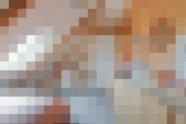 Meeleweg 7 Nieuwleusen thumbnail 35