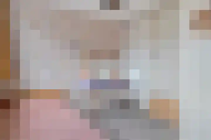 Meeleweg 7 Nieuwleusen thumbnail 37