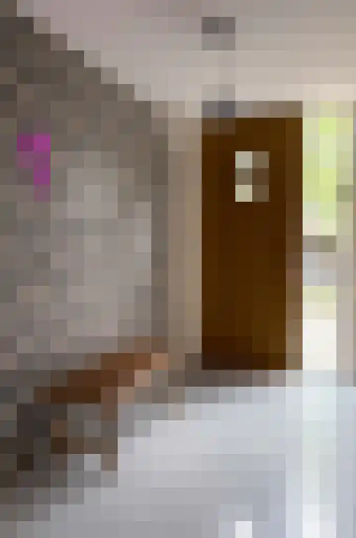 Meeleweg 7 Nieuwleusen thumbnail 4