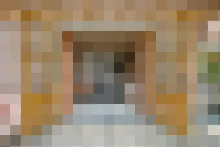 Meeleweg 7 Nieuwleusen thumbnail 40