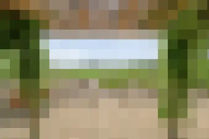 Meeleweg 7 Nieuwleusen thumbnail 41