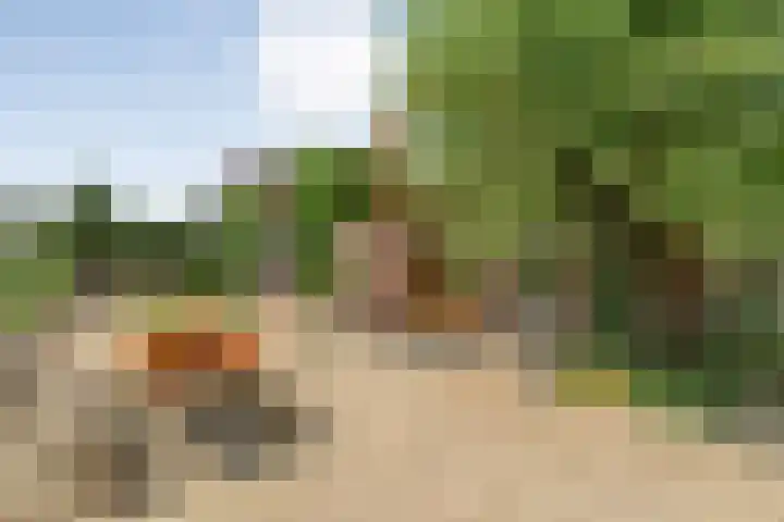 Meeleweg 7 Nieuwleusen thumbnail 42