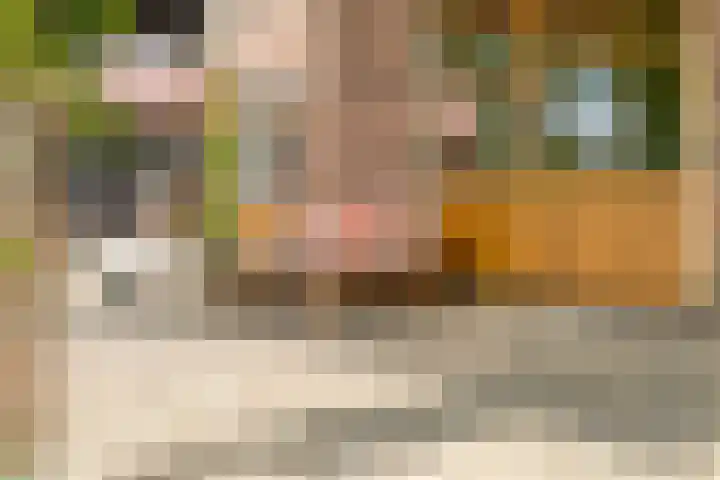 Meeleweg 7 Nieuwleusen thumbnail 43