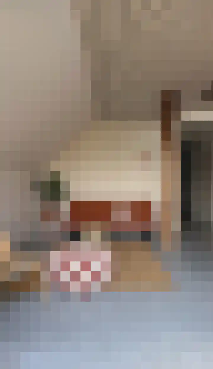 Meeleweg 7 Nieuwleusen thumbnail 46