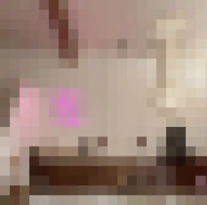 Meeleweg 7 Nieuwleusen thumbnail 48