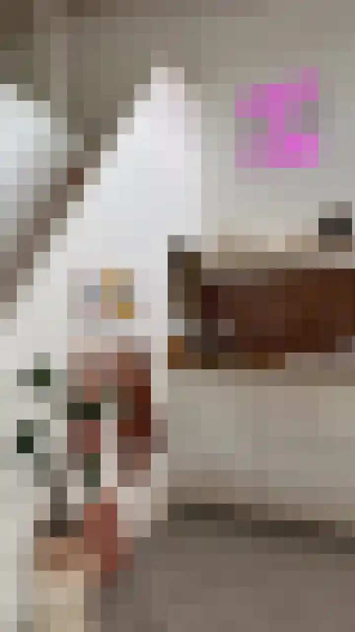Meeleweg 7 Nieuwleusen thumbnail 50