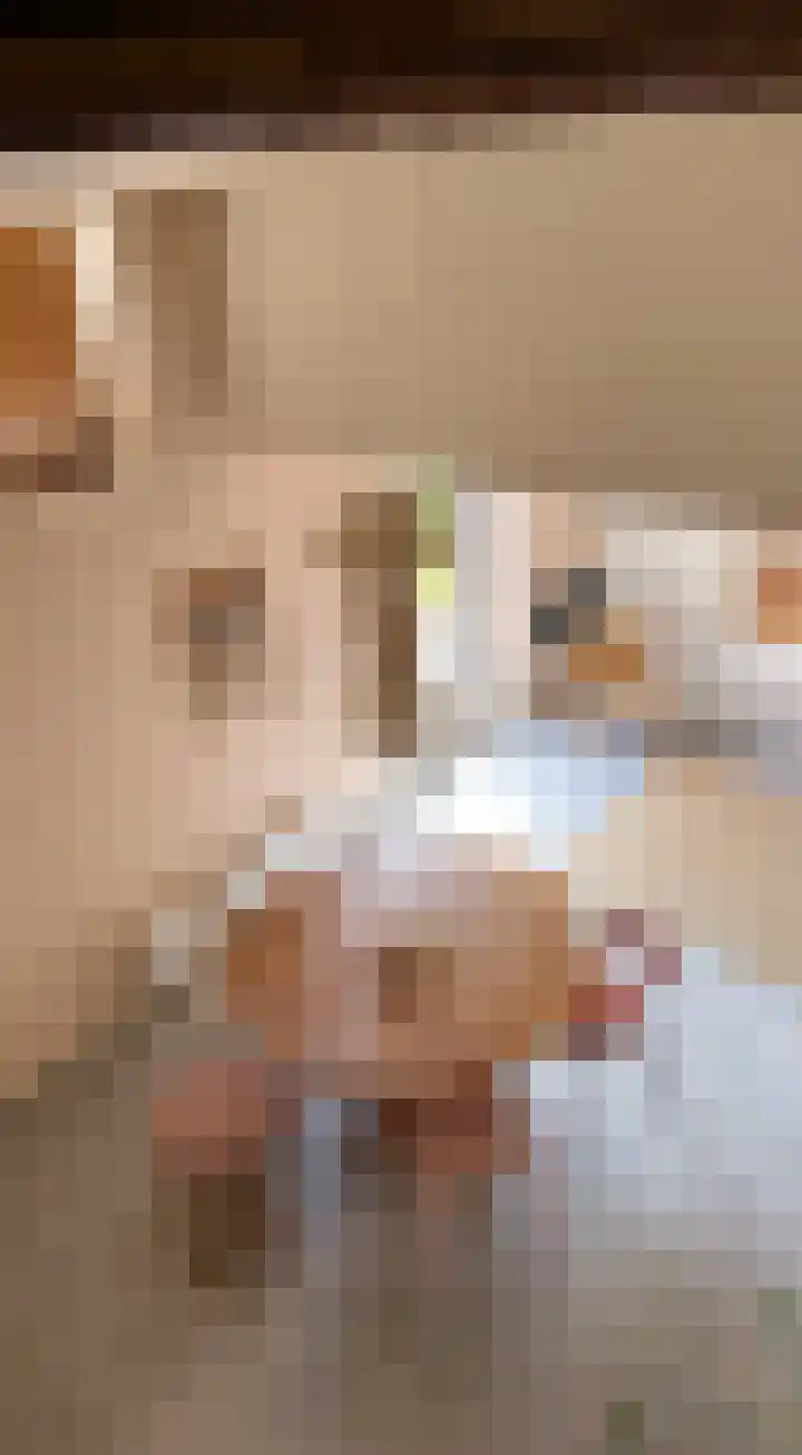 Meeleweg 7 Nieuwleusen thumbnail 52