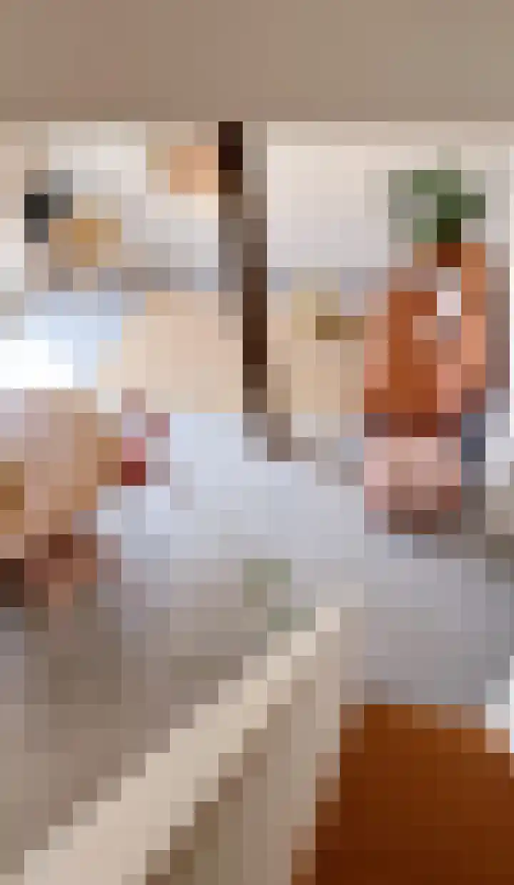 Meeleweg 7 Nieuwleusen thumbnail 54