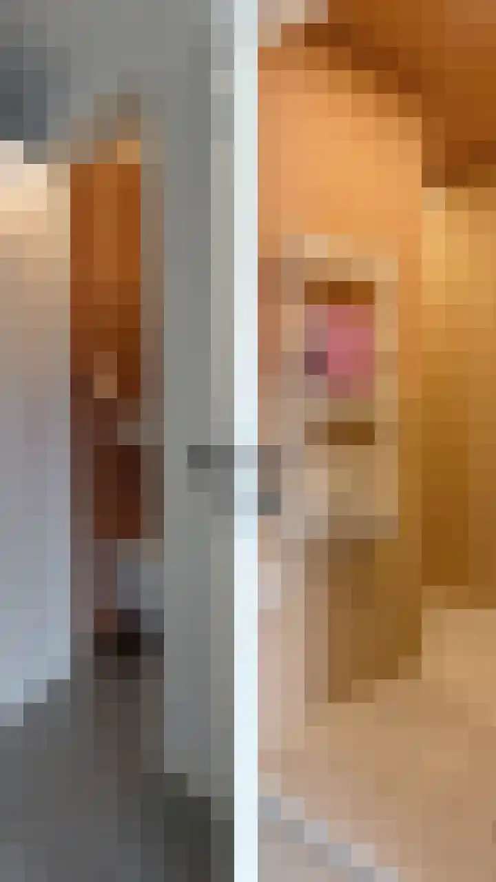 Meeleweg 7 Nieuwleusen thumbnail 58