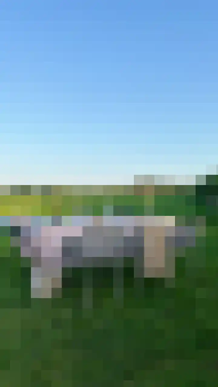 Meeleweg 7 Nieuwleusen thumbnail 63