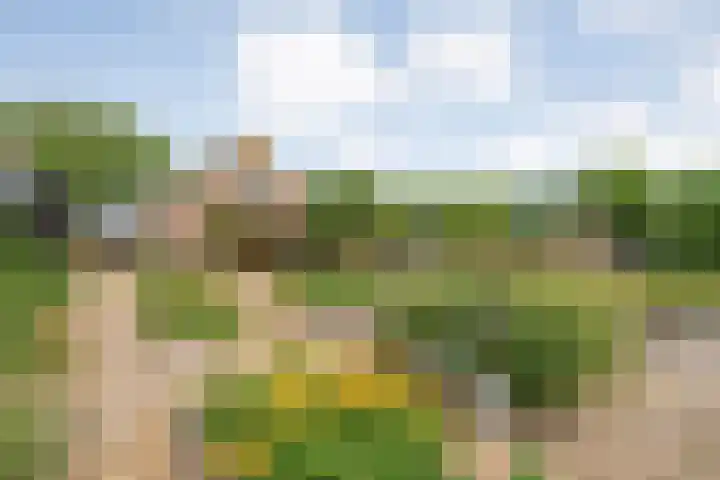 Meeleweg 7 Nieuwleusen thumbnail 65