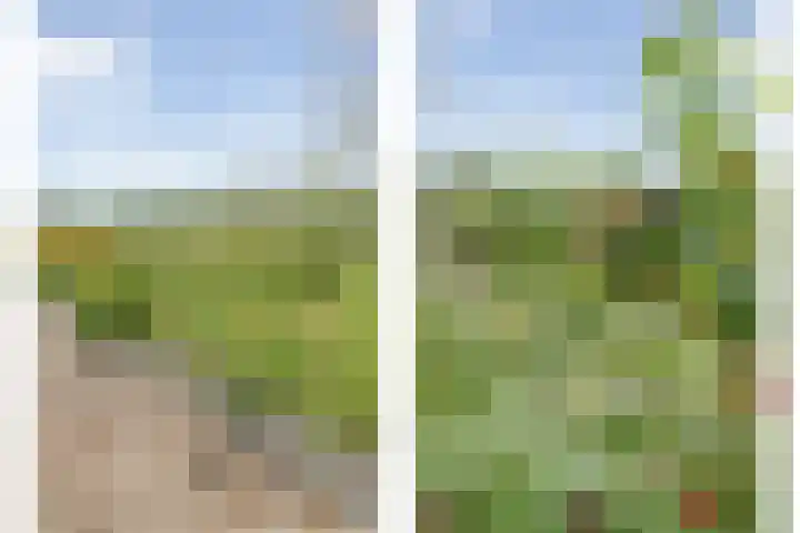 Meeleweg 7 Nieuwleusen thumbnail 67