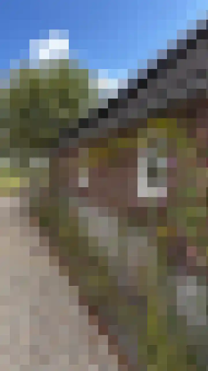 Meeleweg 7 Nieuwleusen thumbnail 68