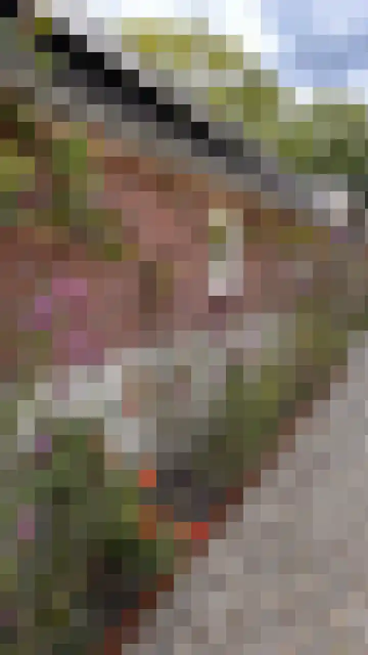 Meeleweg 7 Nieuwleusen thumbnail 69