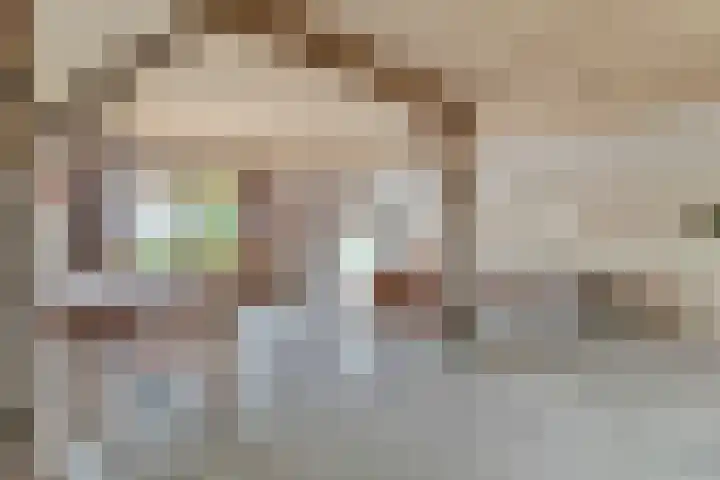 Meeleweg 7 Nieuwleusen thumbnail 7