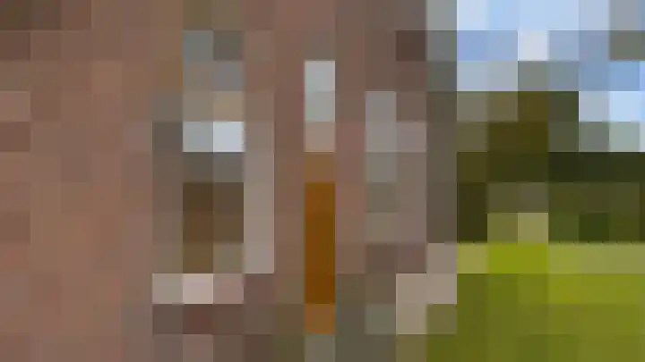 Meeleweg 7 Nieuwleusen thumbnail 72